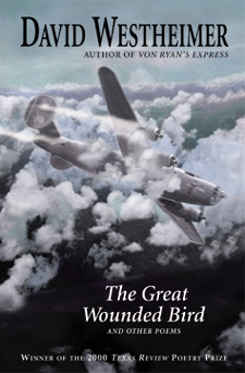 The Great Wounded Bird